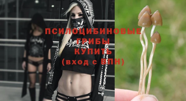 марки nbome Богородицк