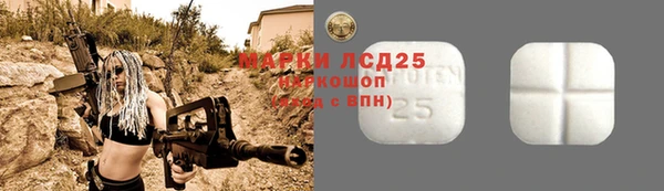 прущие грибы Бородино
