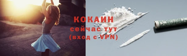 прущие грибы Бородино