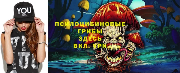 соль ск Бронницы