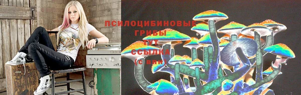 гидра Богданович